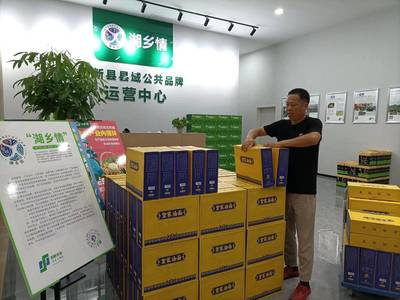 阳新县农发公司 “双向发力”打通农副土特产品产销路，绘就乡村振兴新画卷