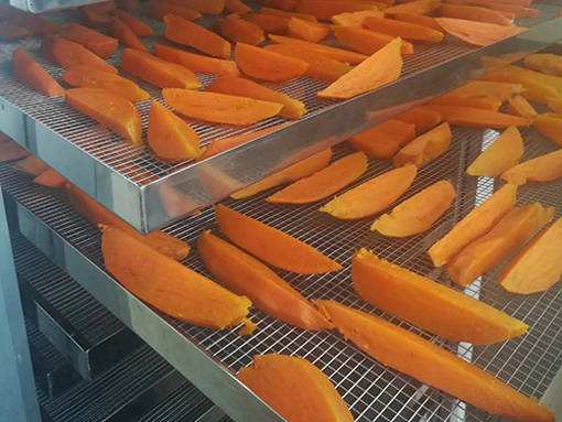 广东中药材烘干炉 为客商与农副产品提质增效的新利器